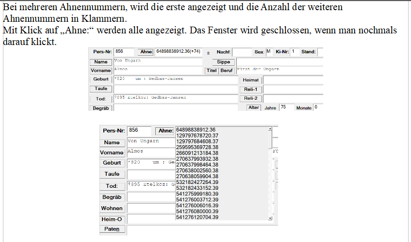 Ahnennummern PBl