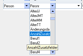 Anzahl Zusatzfelder