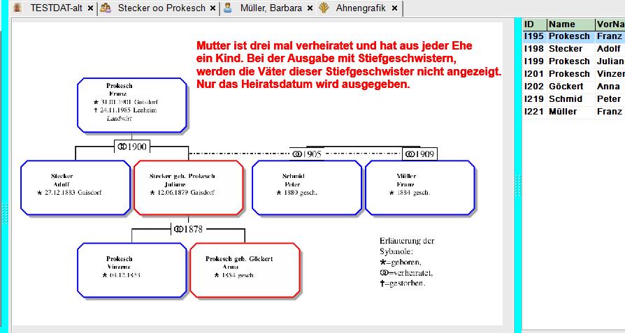 Stiefgeschwister